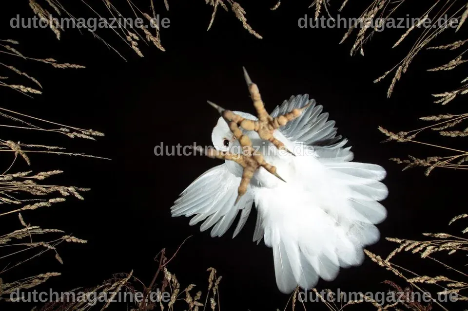 Sony World Photography Awards 2023 - unsere Favoriten - [GEO]