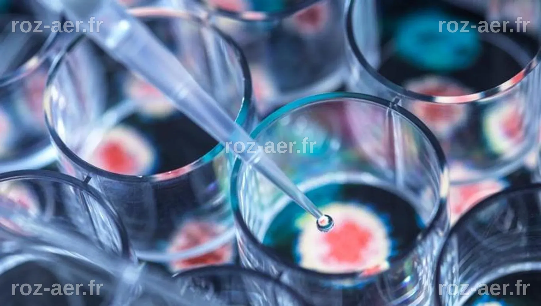 AB Science : Publication d'une étude révélant des avancées significatives en survie et qualité de vie avec le masitinib chez les patients atteints de SLA