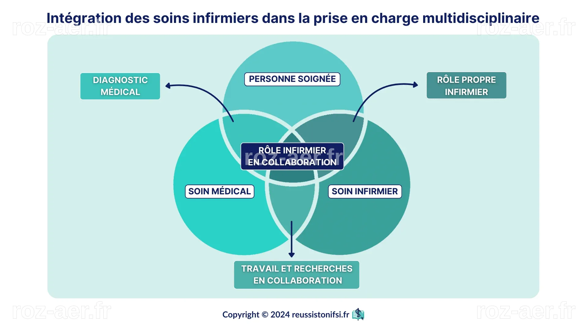Guide infirmier : le projet de soins - Réussis ton IFSI
