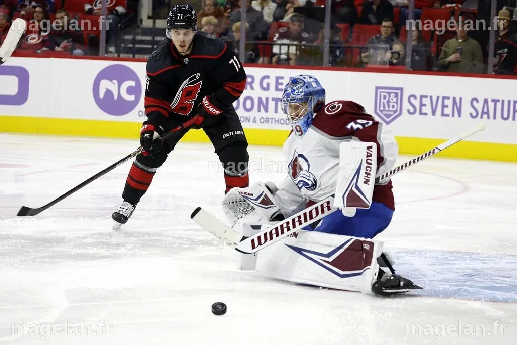 Lehkonen joue aux héros en prolongation contre les Hurricanes - Le ...