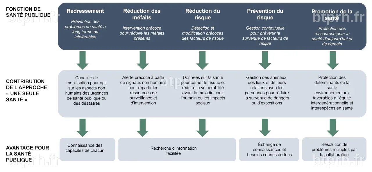 Introduction au concept « Une seule santé » en santé publique ...