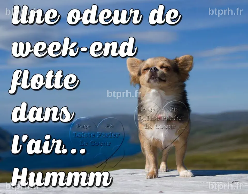 ᐅ 10 Bientôt le week-end images, photos et illustrations pour facebook ...