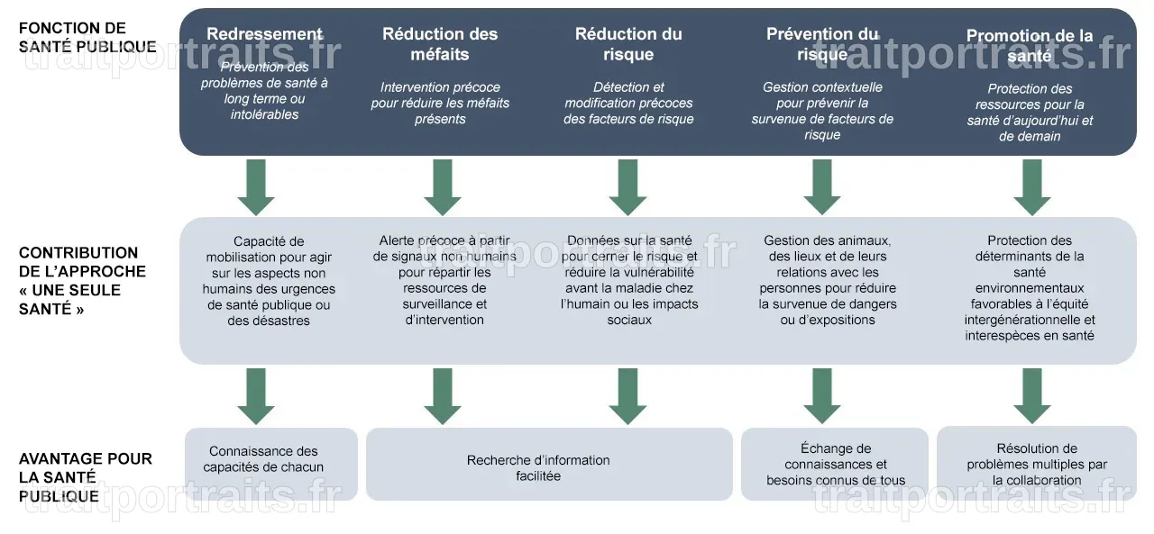 Entre le Sommet One Health et la Réforme de Santé Publique France : Le Gouvernement en Équilibre Précaire
