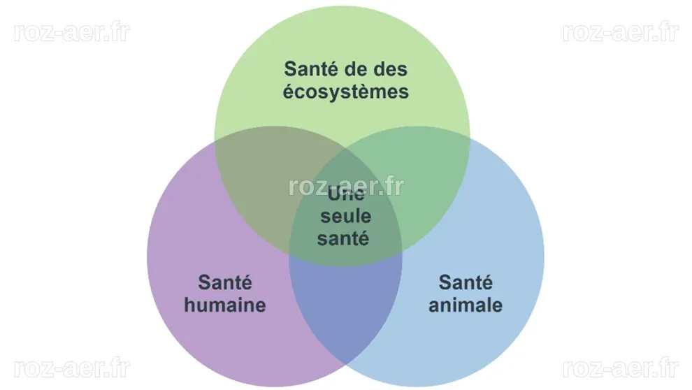 Qu'est-ce que la santé (environnementale), pour vous