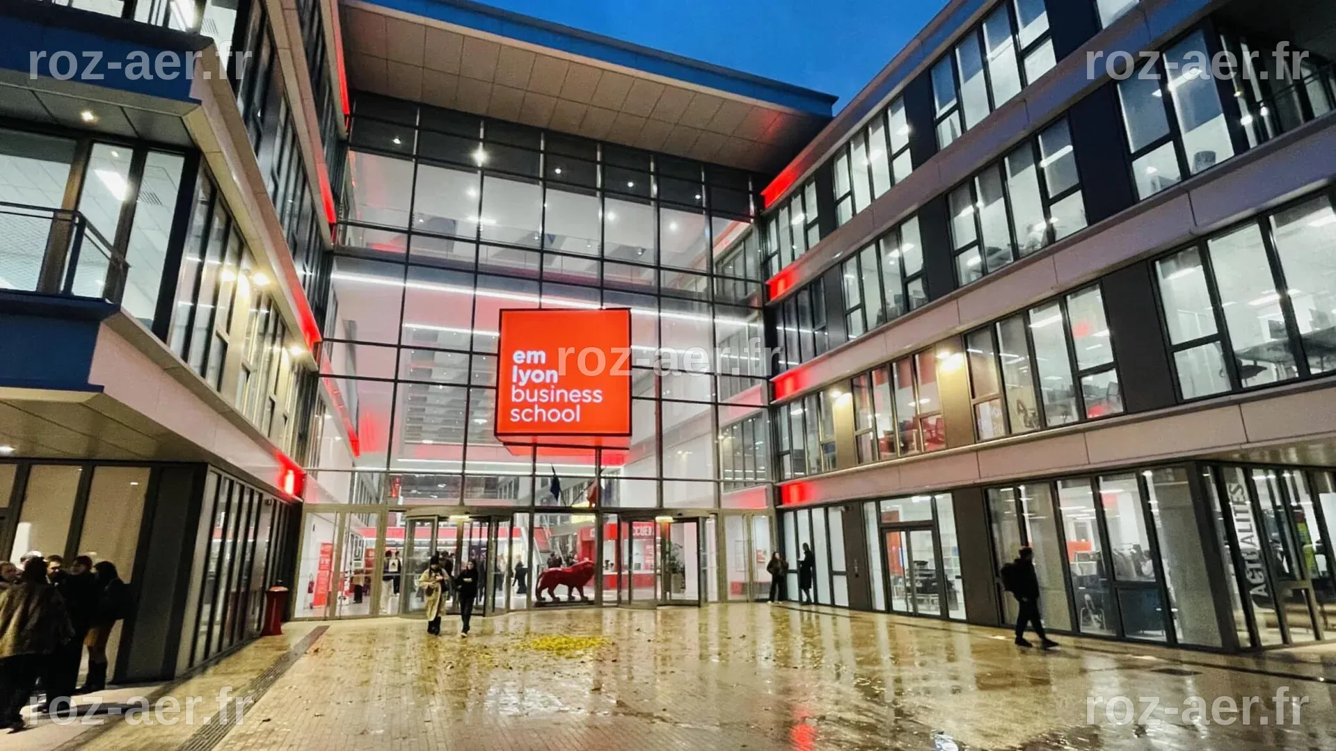 Cartes emlyon : tout savoir pour réussir l’oral