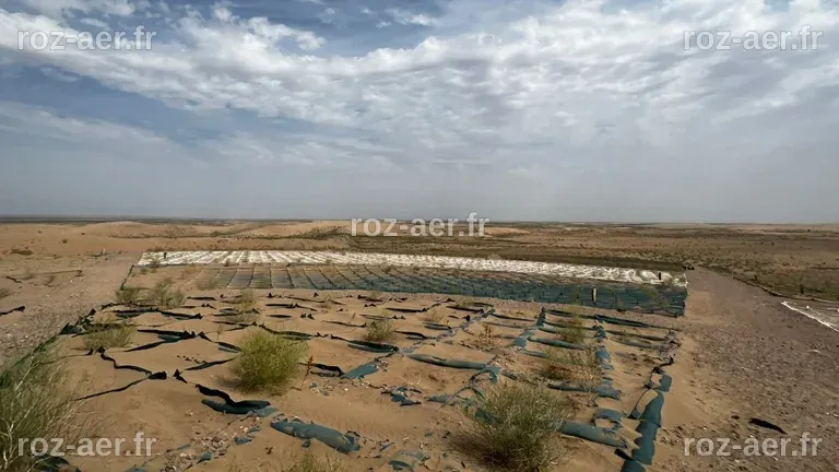 La Chine a réussi à transformer un désert en forêt en y plantant 66 ...