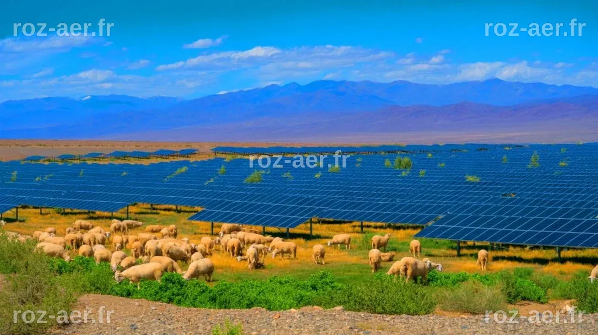« 7 millions de panneaux transforment un désert » : cette centrale ...