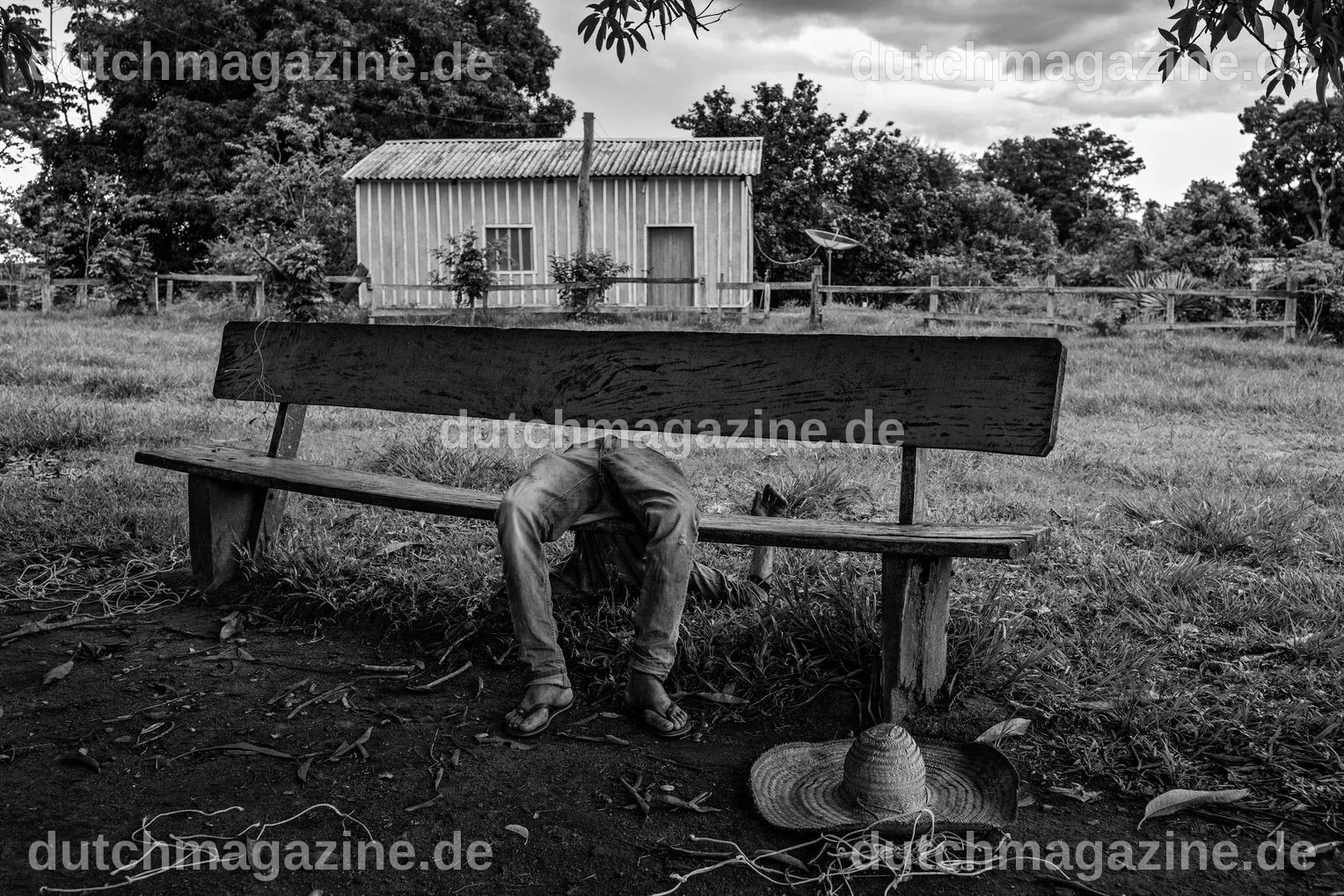 Welt-Pressefotopreis 2026: Das herausragende Bild des Jahres