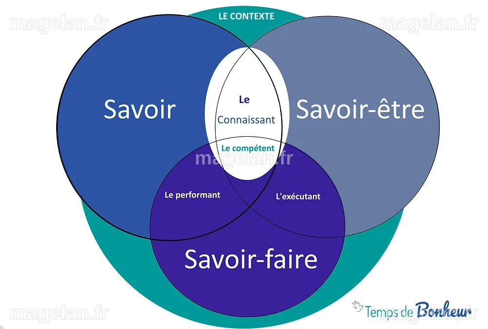 Savoir, Savoir-être, et Savoir-faire : Quelles différences
