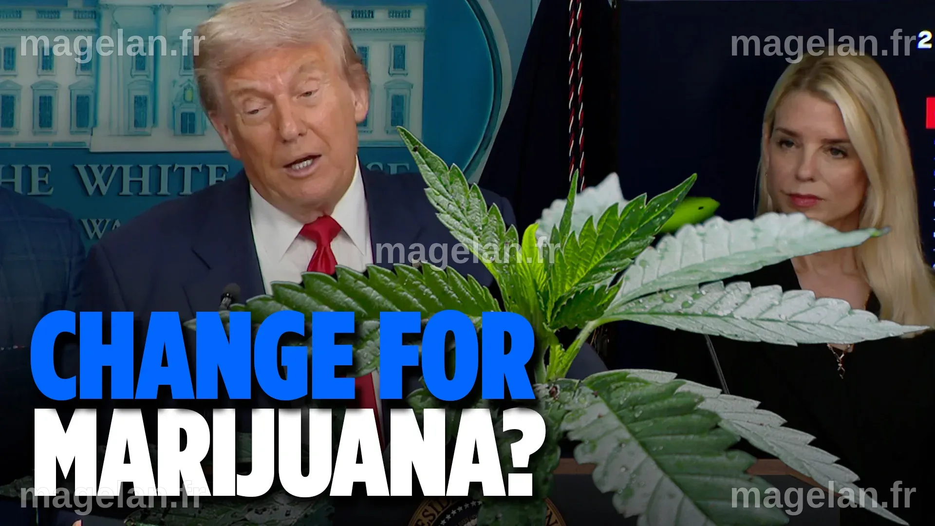 L'administration Trump reclassifie la marijuana médicale en catégorie III