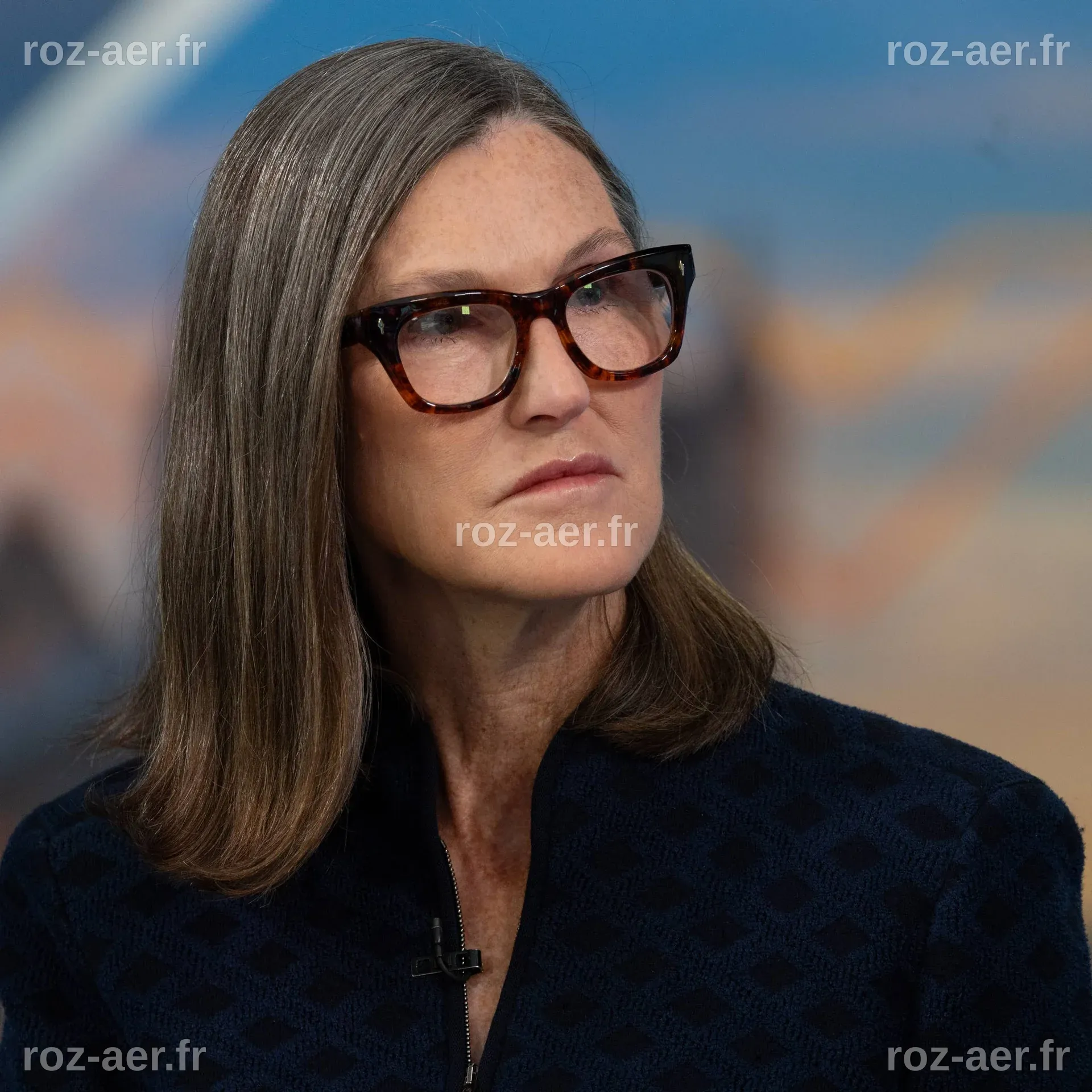 Cathie Wood investit 900 000 $ dans des actions de méga-capitalisation en forte hausse