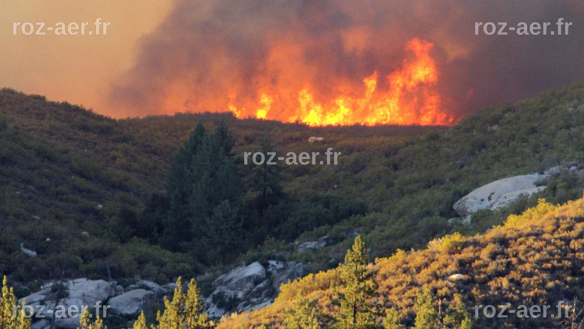 Incendie en Géorgie : Le changement climatique exacerbe les feux de forêt à l'Est des États-Unis