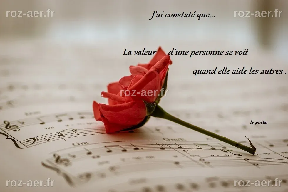 J'ai constaté ...