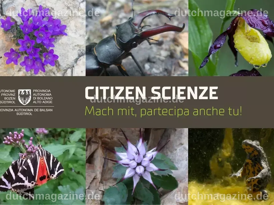 Die Bedeutung von Citizen-Science-Projekten für die Wissenschaft