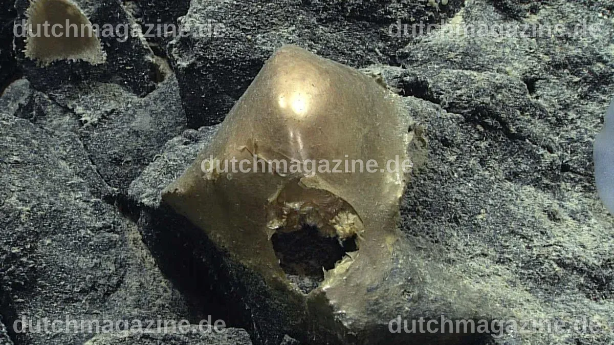 Rätselhafte goldene Kugel auf dem Meeresboden vor Alaska identifiziert – über zwei Jahre nach ihrer Entdeckung