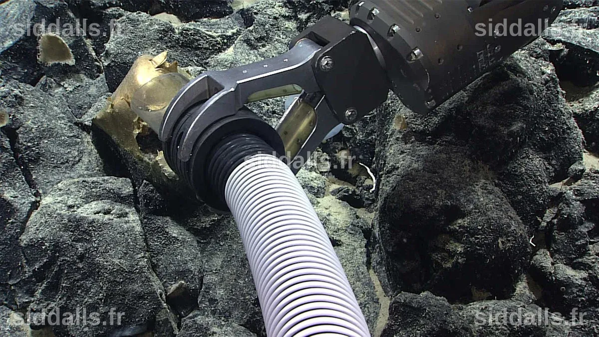 Mysterious 'golden orb' discovered by researchers on Alaskan seafloor ...