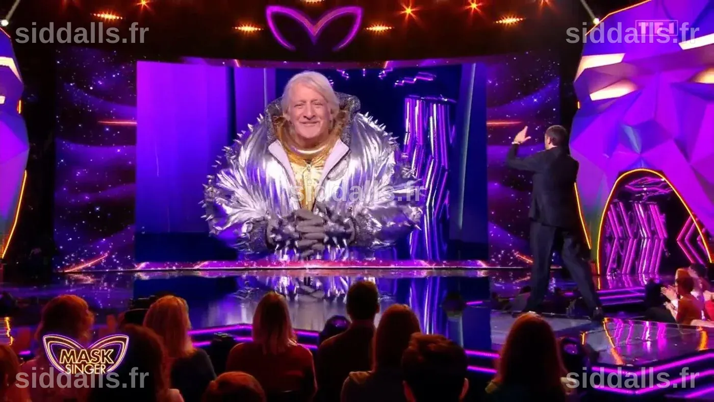 « Mask Singer » 2025 : médaillés aux JO, stars de la pop… Ce qui vous ...