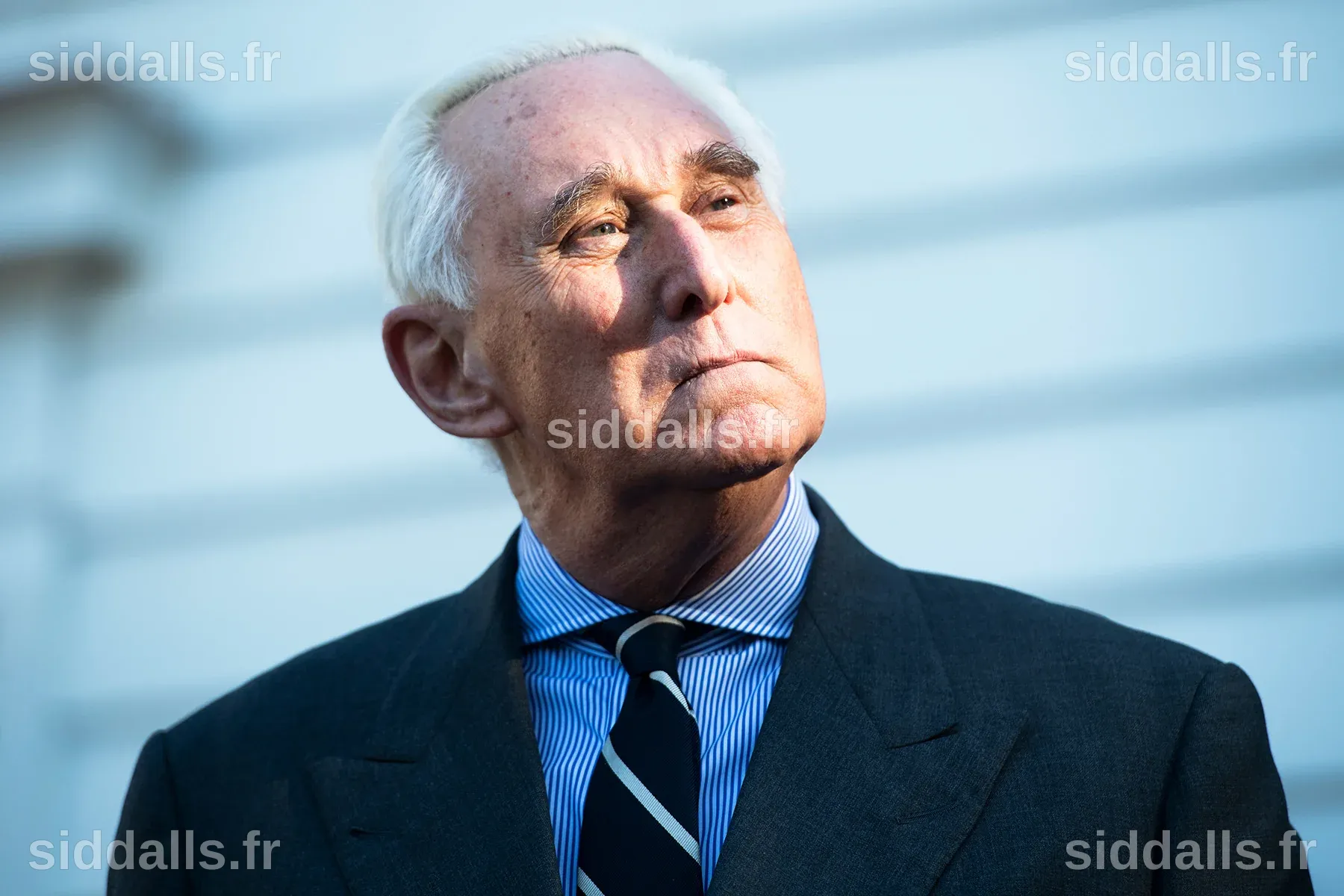 Who Is Roger Stone Roger Stone Told Julian Assange He Was Lobbying For