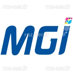 MGI Digital Technology (ALMDG.PA) - Shares outstanding