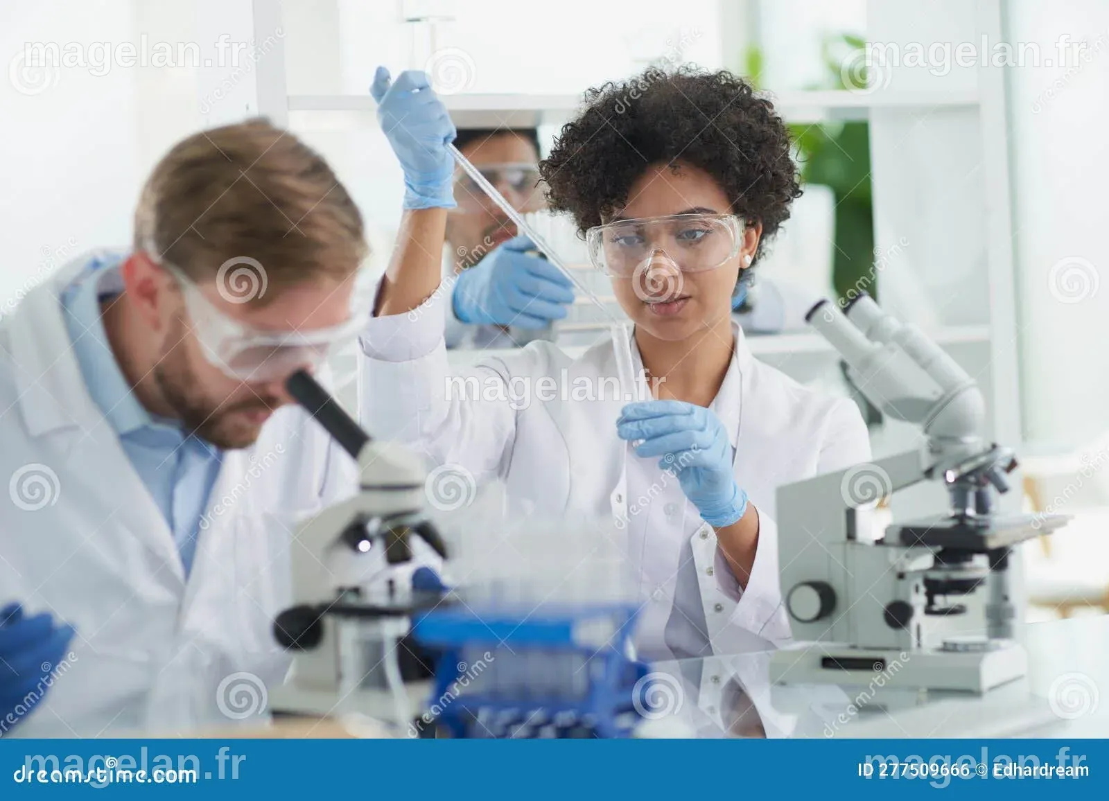 équipe De Chercheurs Médicaux Travaillant Sur La Production De ...