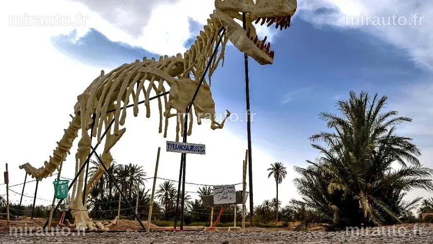 Au Maroc, l'essor lucratif du commerce des fossiles de dinosaures