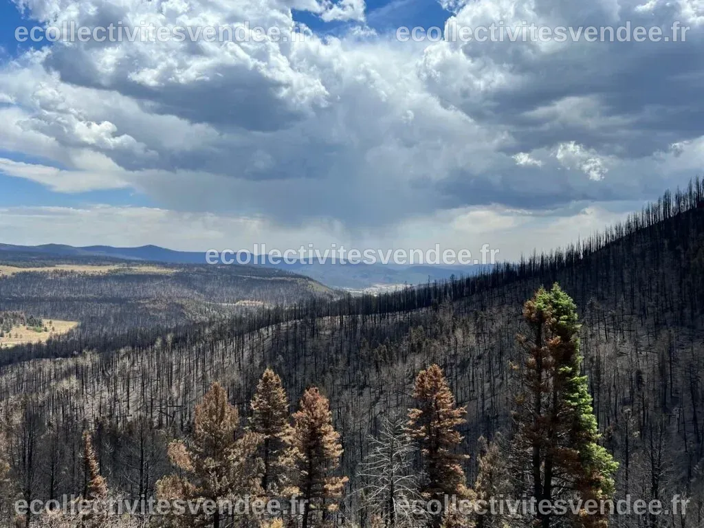 Un audit révèle une gestion défaillante des fonds de récupération des incendies de Mora County