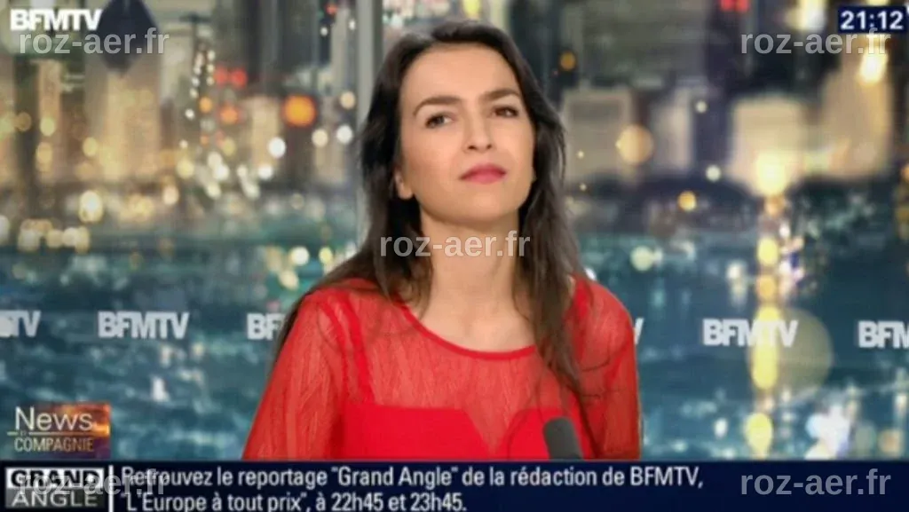 vuesalatelenewblog: 20150105 - 21:10 - TATIANA RENARD-BARZACH - BFM TV ...