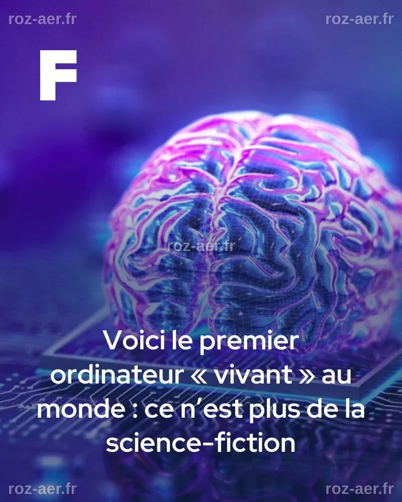 Voici le premier ordinateur « vivant » au monde : ce n’est plus de la ...