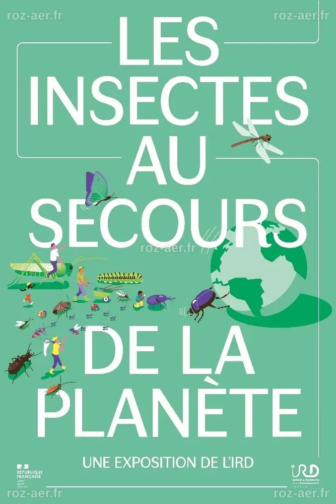 Les Automobilistes Mobilisés pour le Recensement des Insectes