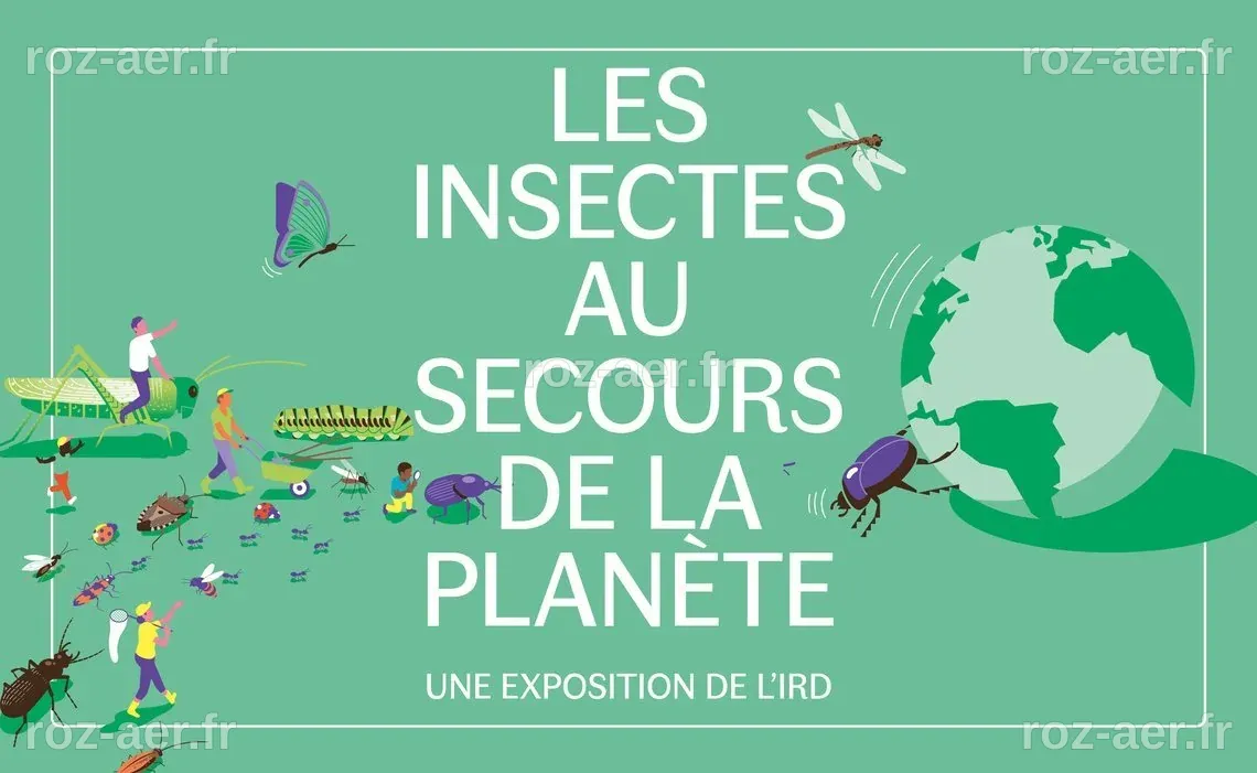 Exposition 