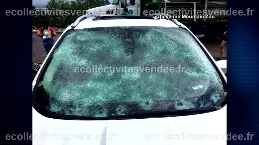 16 injured, 2 animals killed at zoo during massive hail storm