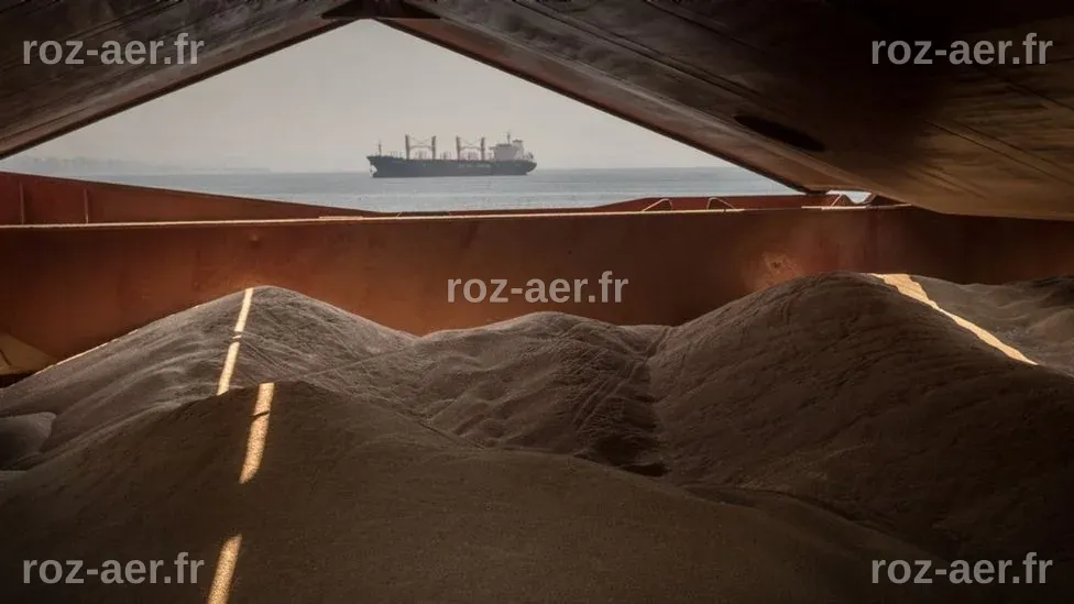 Ukraine round-up: Power and water hit as grain ships call Russian bluff ...