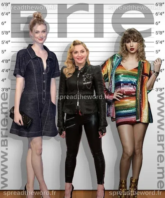 Madonna Height - Brie
