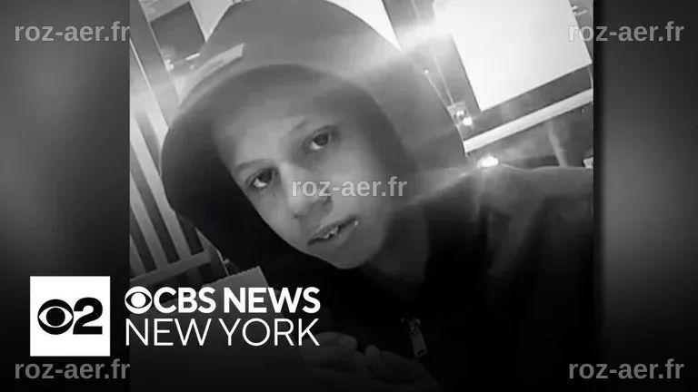 4 teens arrested after brawl in Bronx park ends with 14-year-old ...