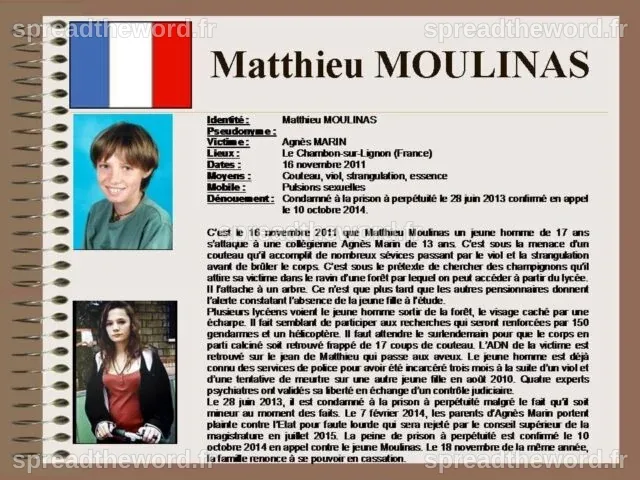 Matthieu Moulinas, criminal sexual minor (recidivist), condamnat la ...