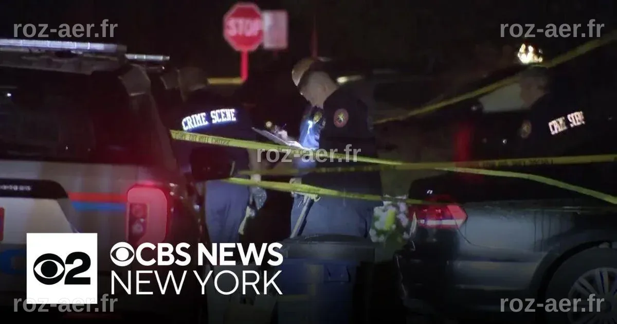 Nassau County police fatally shoot man during domestic call - CBS New York