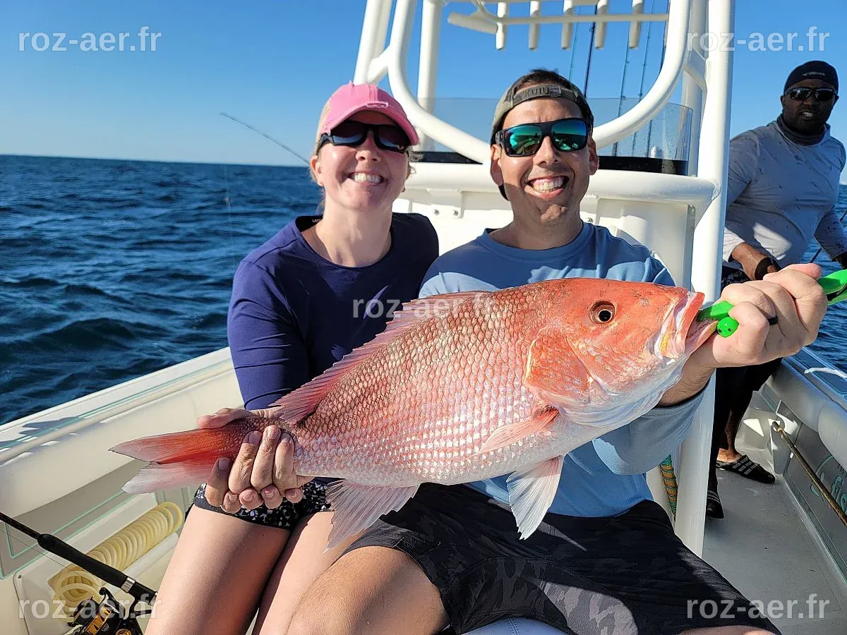 What Is Snapper Season In Florida at Mildred Bruggeman blog