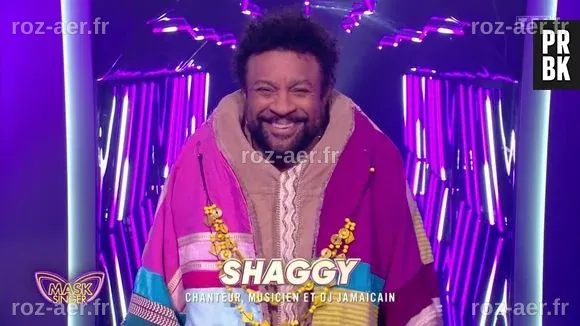 « Mask Singer » : Découvrez la star internationale derrière le costume du Hérisson