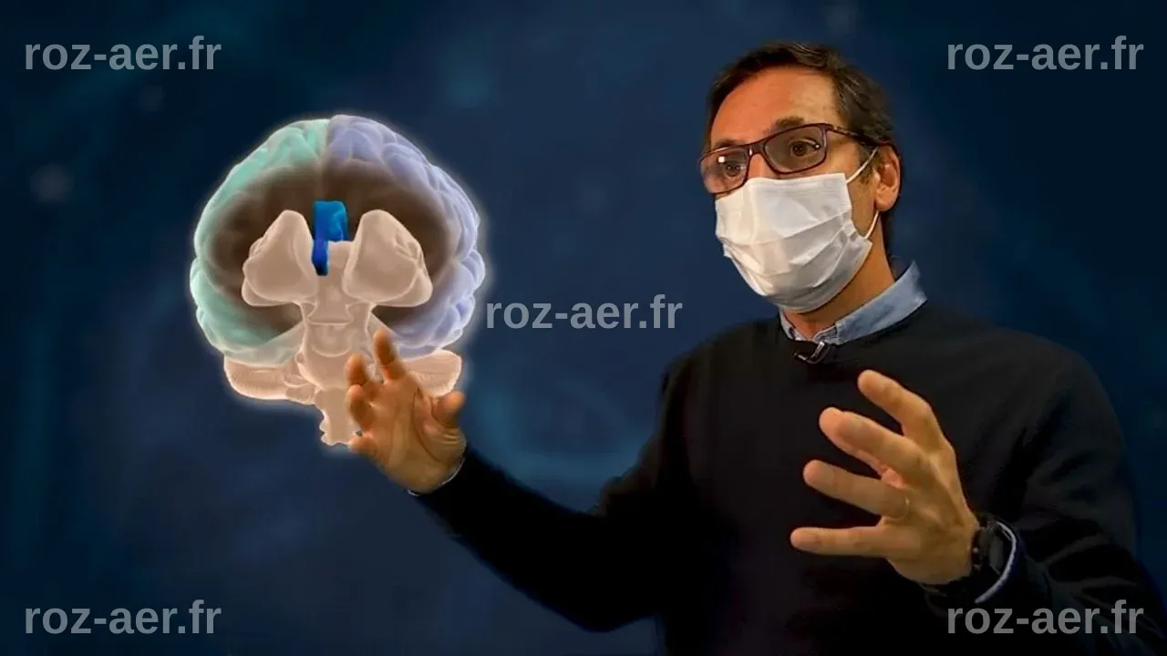 Mais pourquoi certains gauchers sont-ils plus doués ? | TF1 INFO