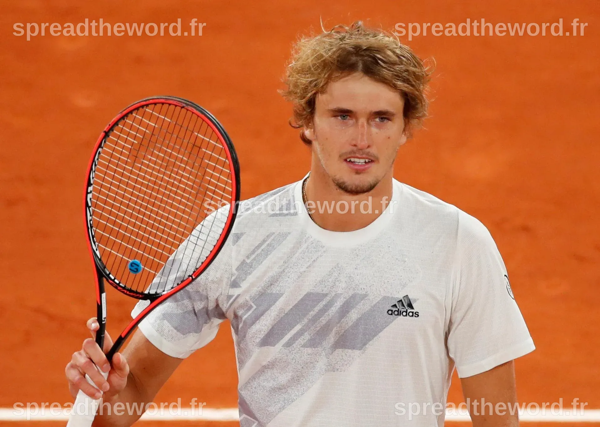 Zverev Age Taille