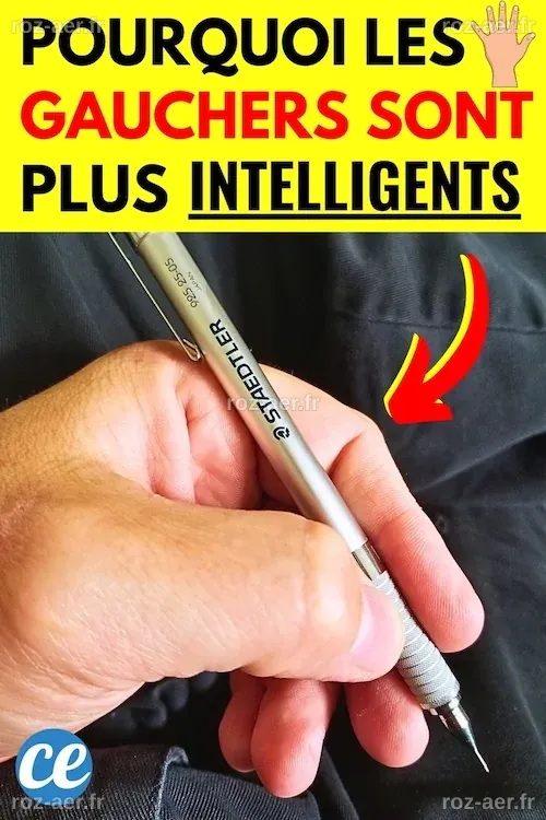 Voici Pourquoi les Gauchers sont les Plus Intelligents Selon une Étude.