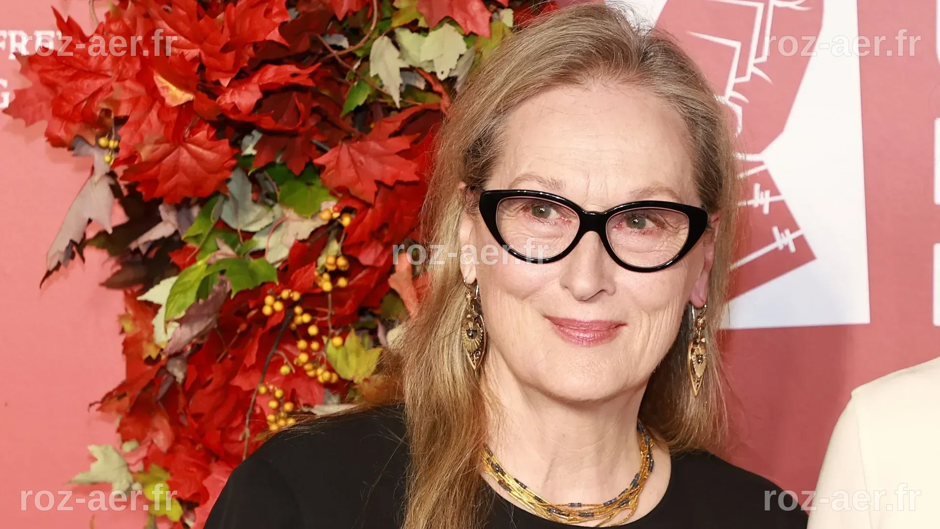 “Meryl Streep, mystères et métamorphoses” : carrière en or pour une ...