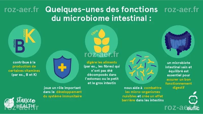 Nutrition Personnalisée : Comprendre l'Impact de Votre Microbiote sur Votre Alimentation