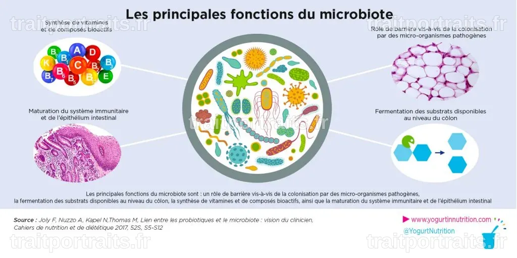 Nutrition sur mesure : Comprendre l'impact de notre microbiote sur notre alimentation