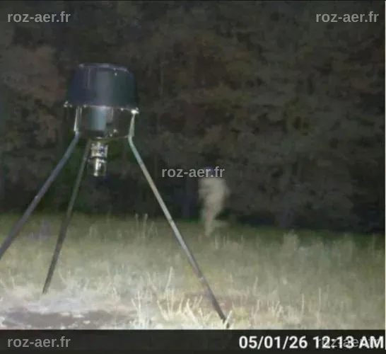 Manhunt underway for special forces veteran with extensive survival ...