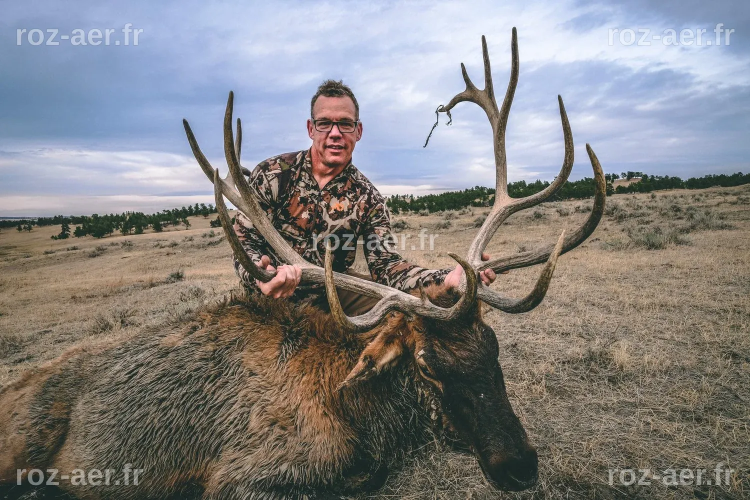 Elk Hunting in South Dakota | Private Guided Elk Hunts | Guide & Gun ...