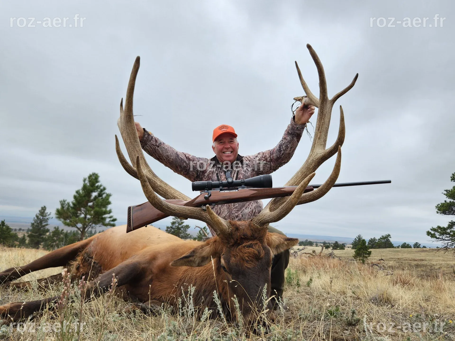 South Dakota Estate Guided Elk Hunts & Hunting Trips - WLHunting