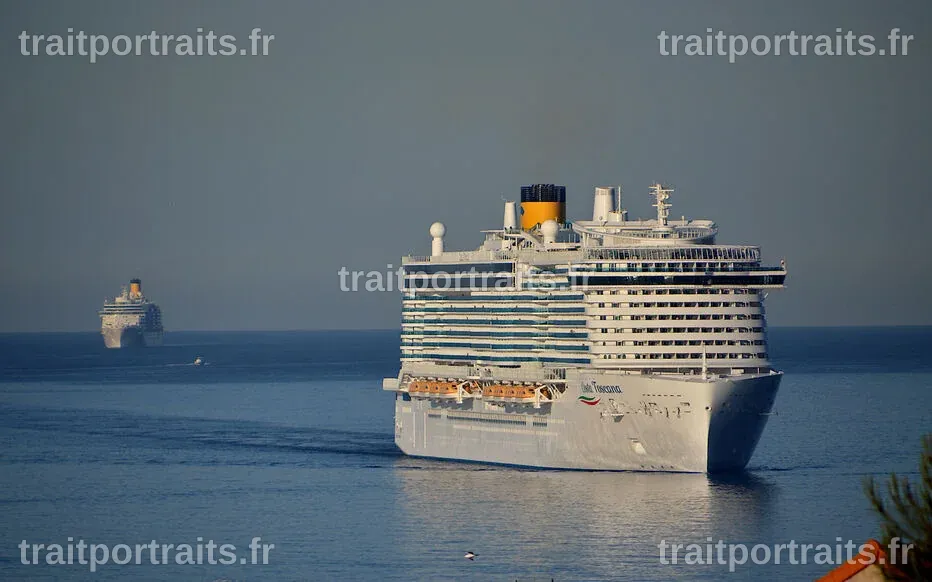 Urgent : Hantavirus à bord du navire de croisière MV Hondius, évacuation des passagers prévue aux îles Canaries