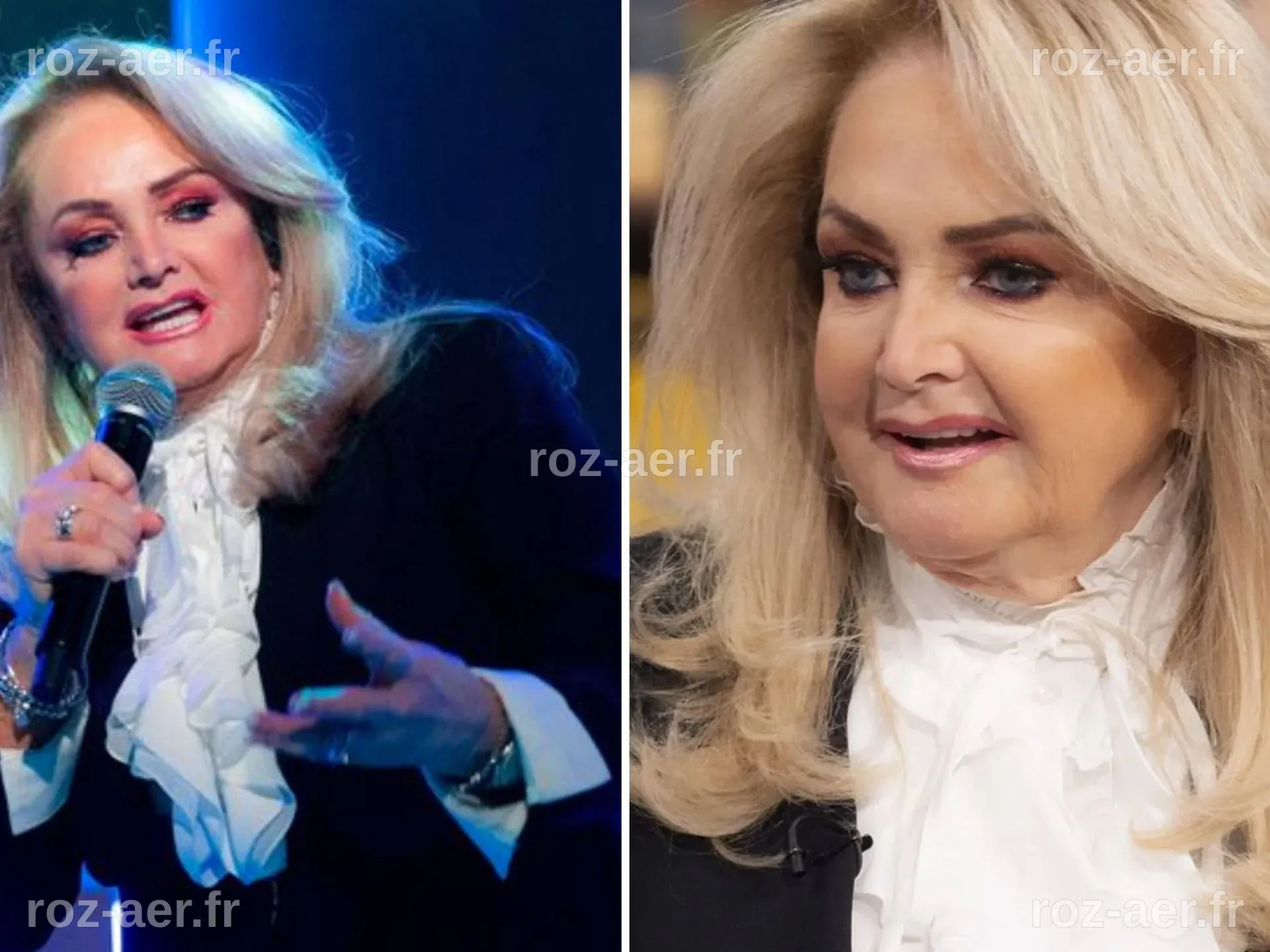 Did Bonnie Tyler Undergo Plastic Surgery? All Facts! - Famous Plastic ...