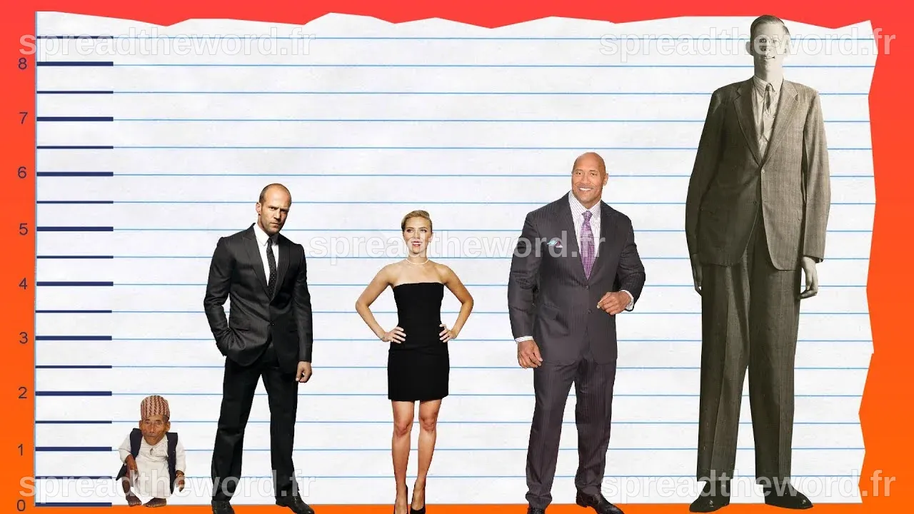 How Tall Is Jason Statham? - Height Comparison! - YouTube